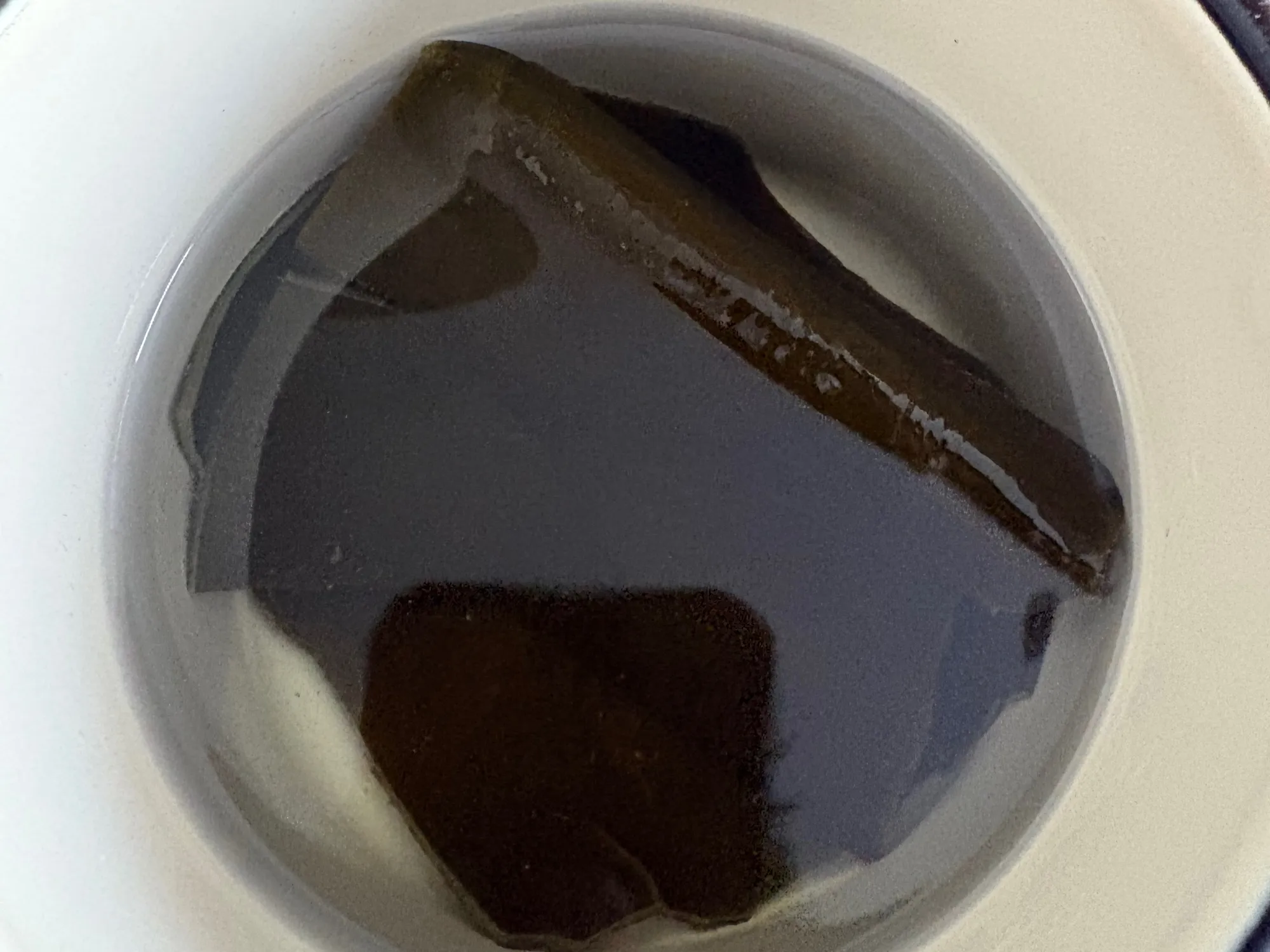 Solona kombu domowej roboty, nawet w Polsce! - step 1